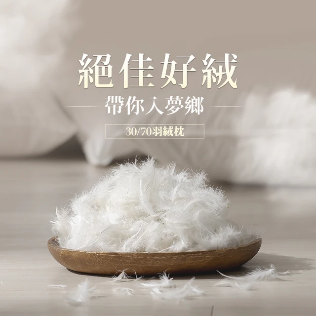 30／70 羽絨枕 2