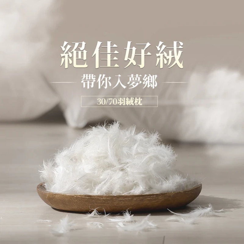 30/70 羽絨枕 2
