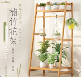 專家監製8 大花架推薦排行榜 1