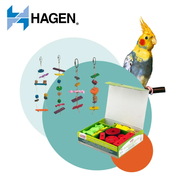自創性木製鳥玩具 S-M號 1