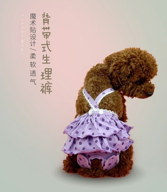 專家監製10 大狗狗生理褲推薦排行榜 1