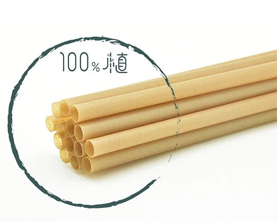 甘蔗環保吸管 1