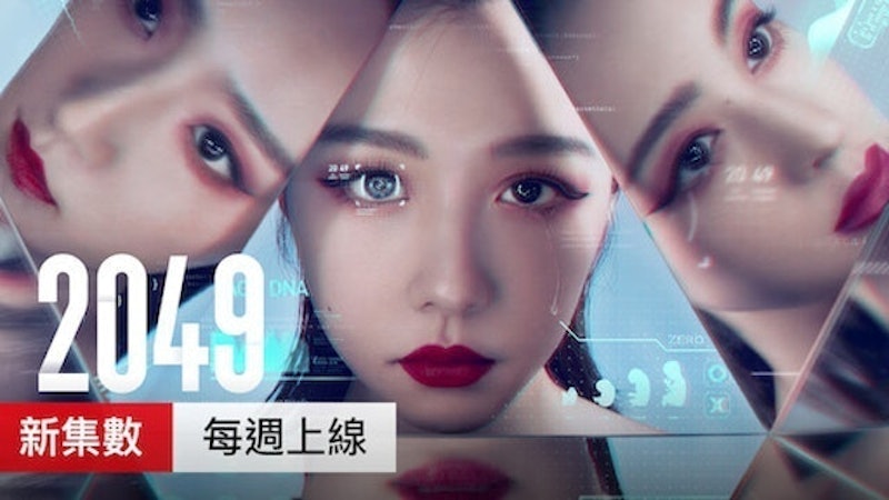 2049 1