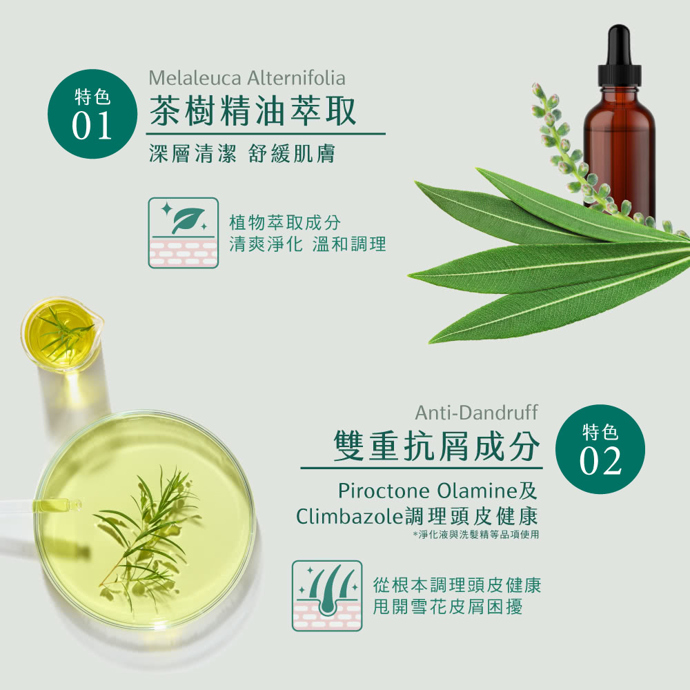 淨平衡茶樹控油雙效抗屑洗髮精 2
