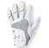 UNDER ARMOUR UA高爾夫手套 1