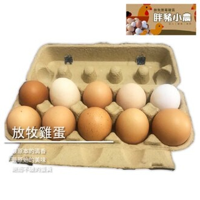  放牧雞蛋 1