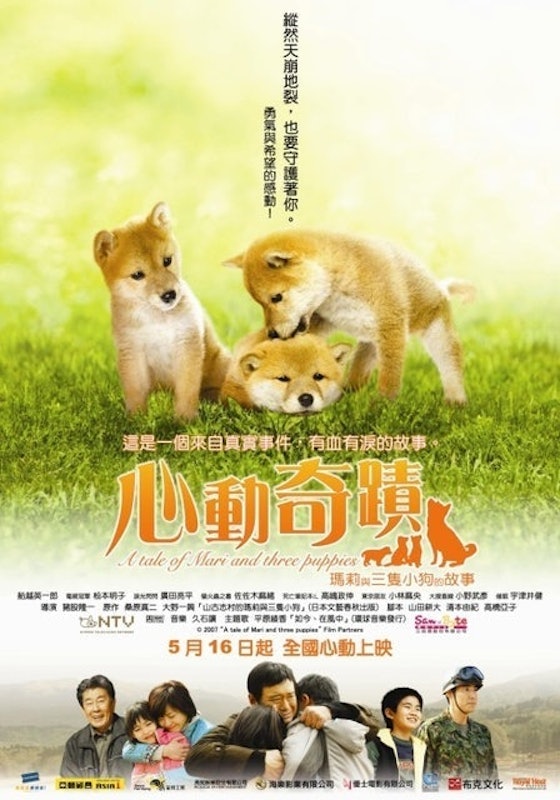 心動奇蹟:瑪莉與三隻小狗的故事 1