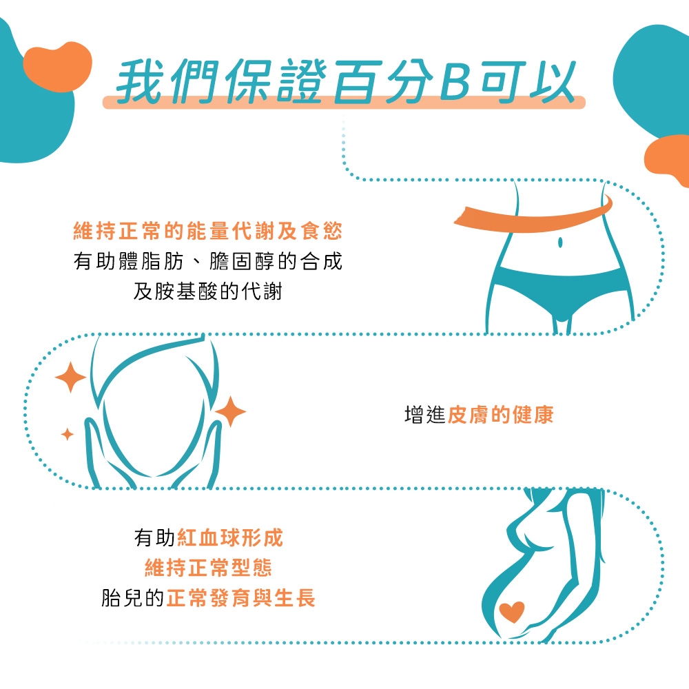 百分B 24H長維持型天然藜麥酵母B群+葉酸 3
