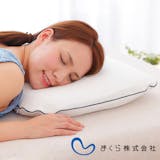10 大可水洗枕頭推薦排行榜 2