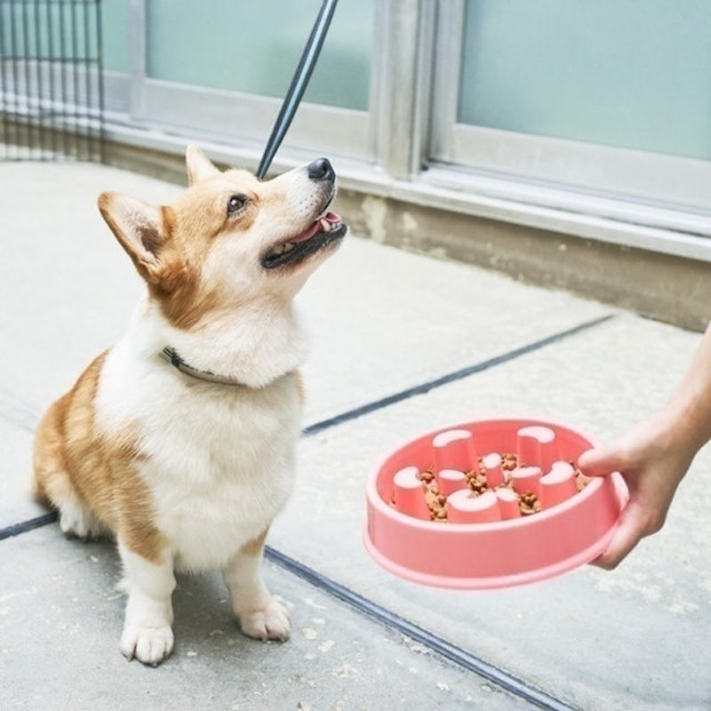 寵物慢食碗 7