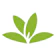 Cirad-France PlantNet 1