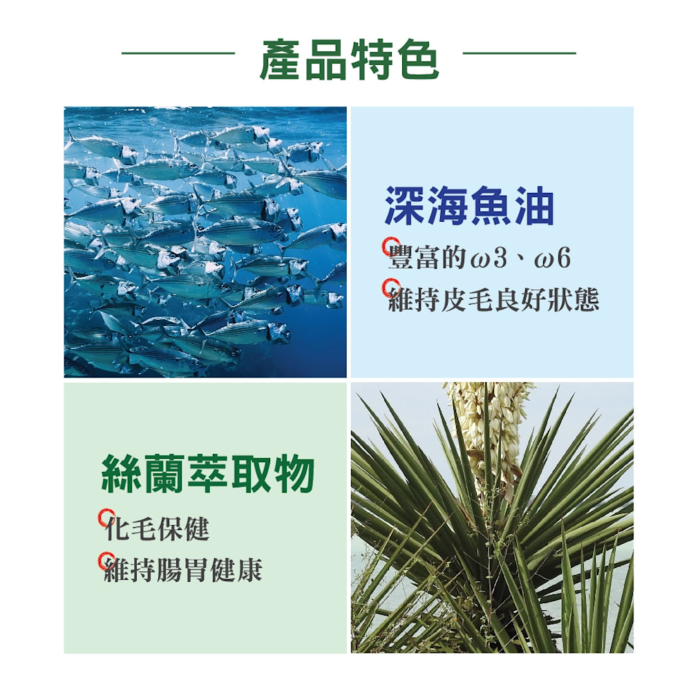 室內貓結紮貓貓糧 2