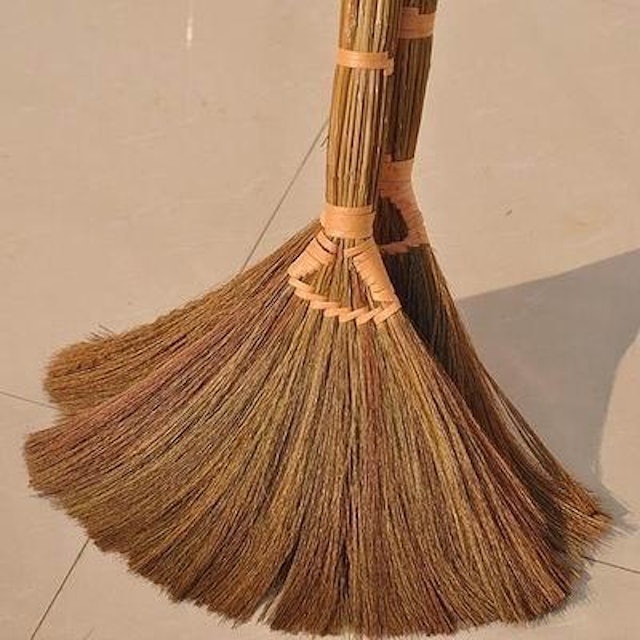 金絲芒草掃把 1