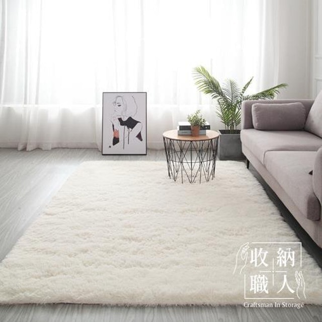 現代簡約輕奢北歐風加厚羊羔絨地毯 1