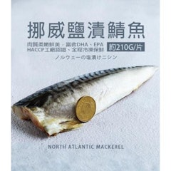 厚片超大油質豐厚挪威薄鹽鯖魚