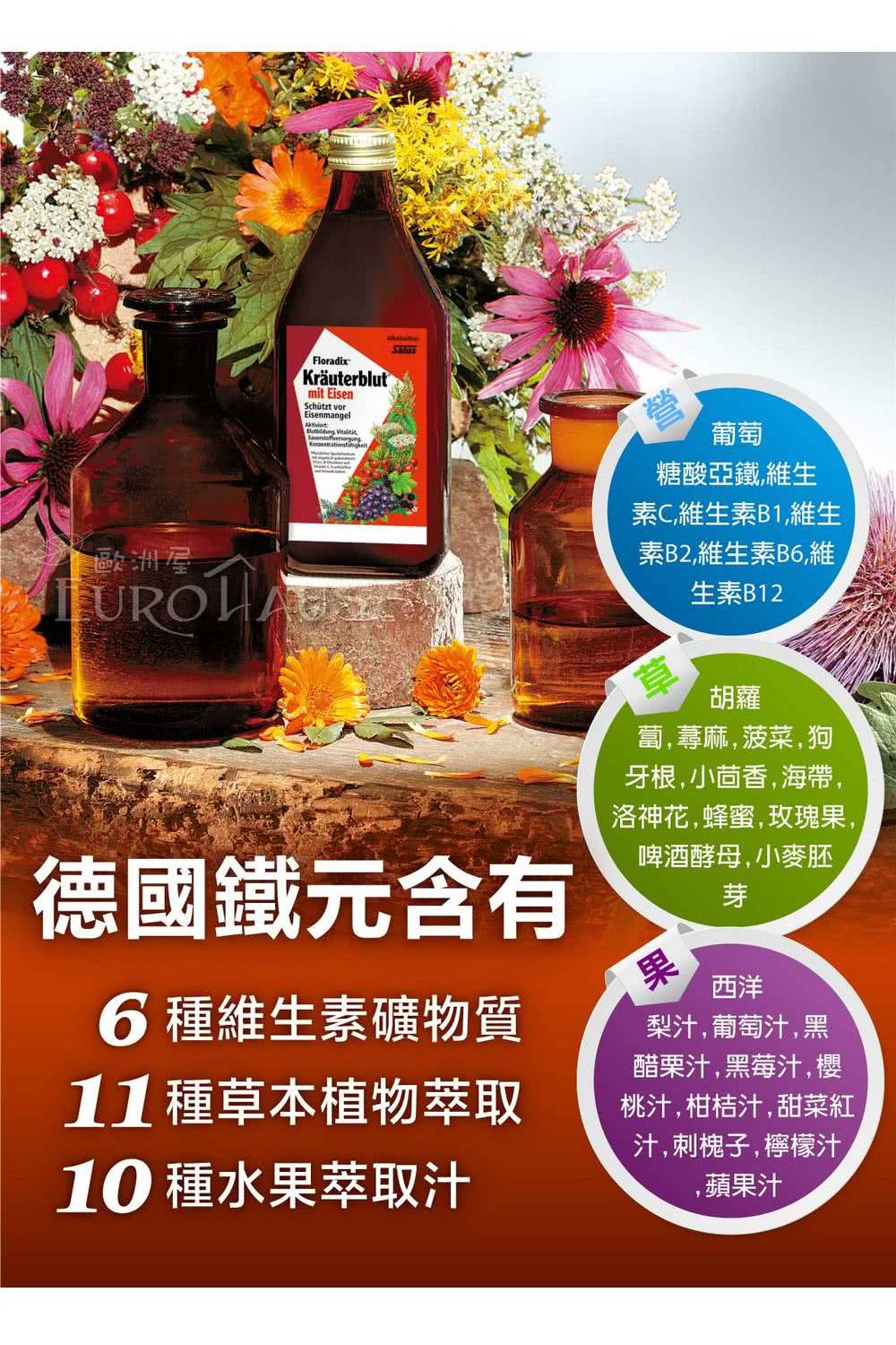 Floradix 鐵元草本液 2