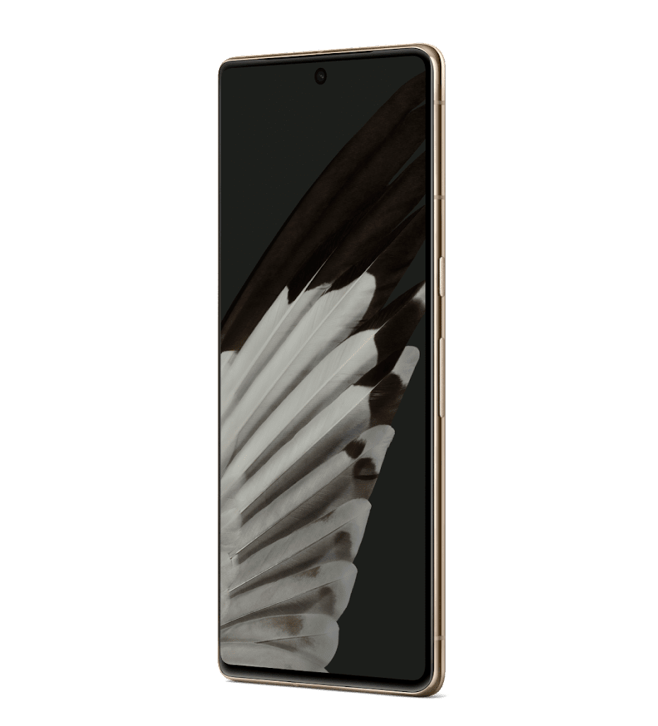Pixel 7 pro 1