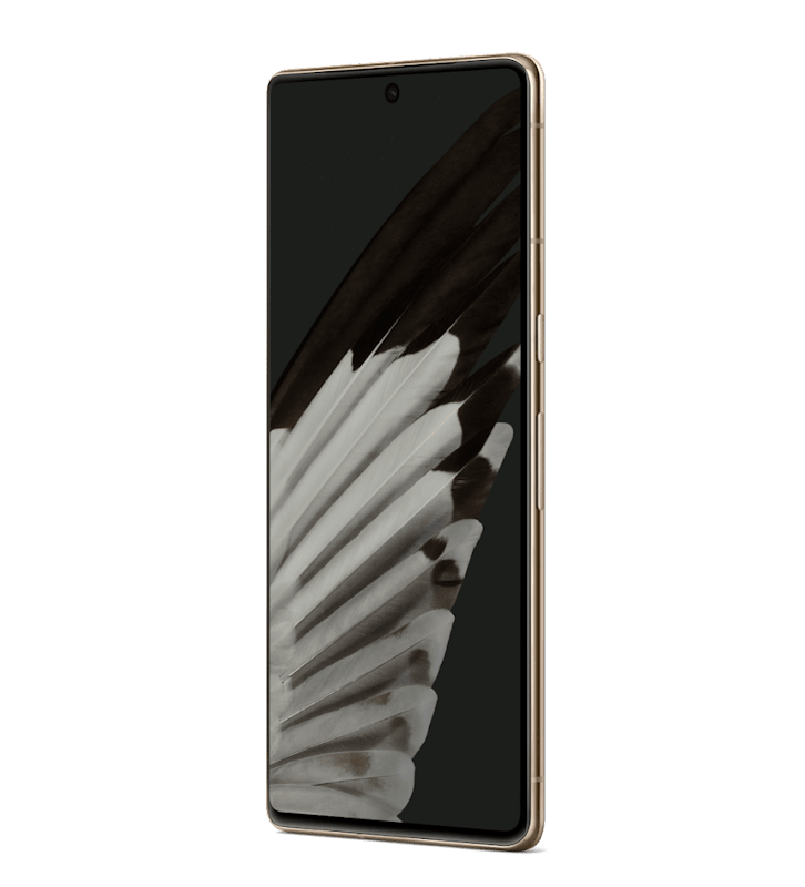 Pixel 7 pro 1