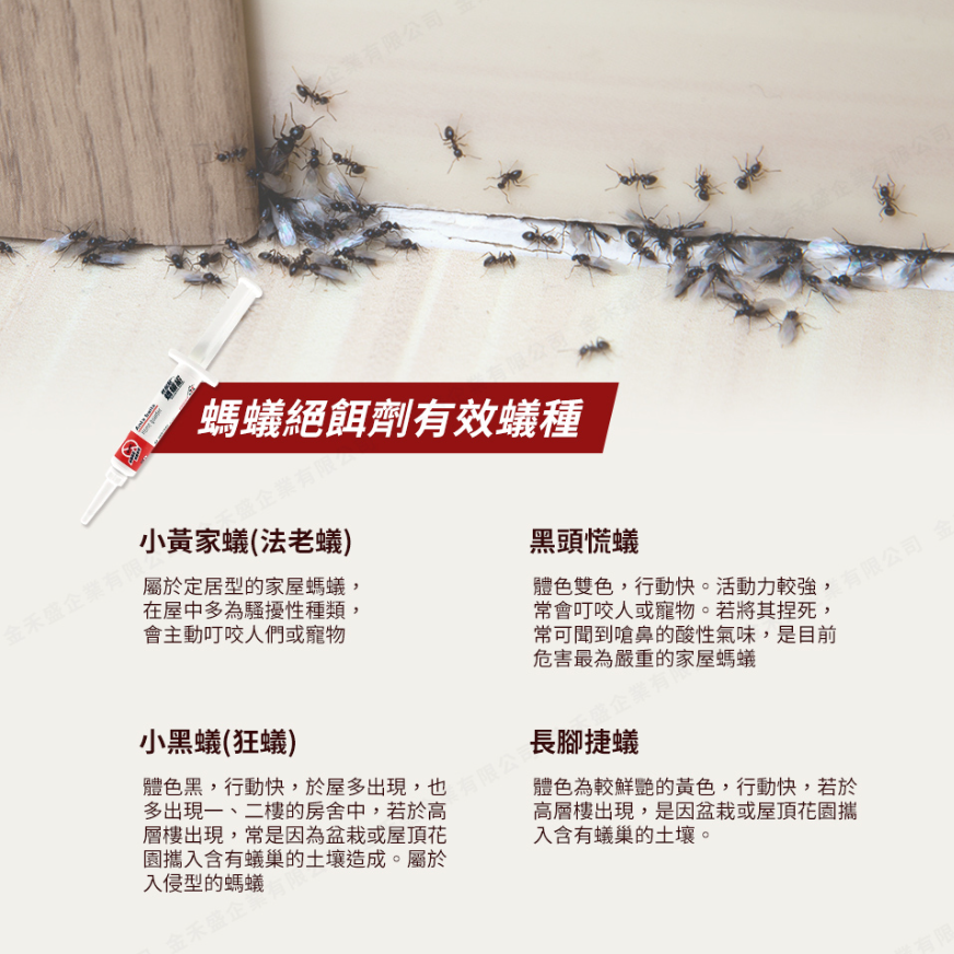 凝膠餌劑螞蟻絕 3