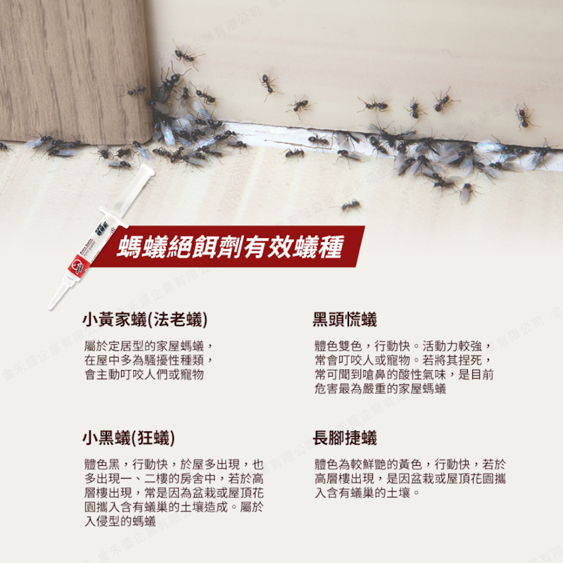凝膠餌劑螞蟻絕 3