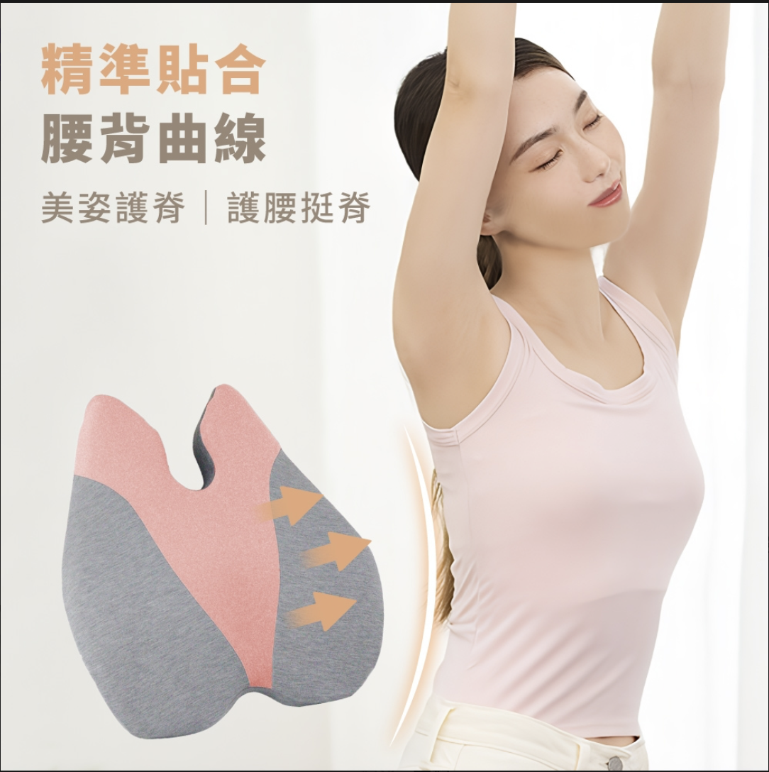 護腰挺脊靠背墊 2