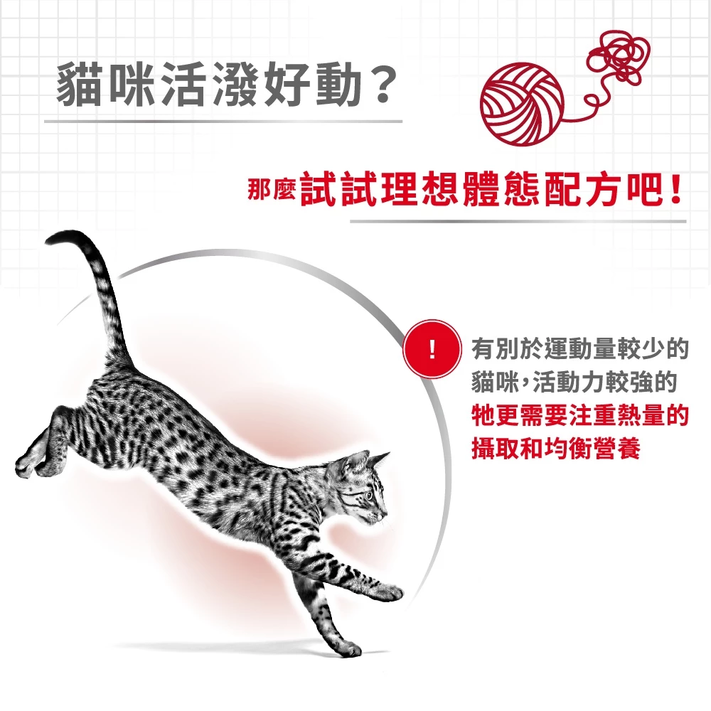 理想體態成貓專用飼料 2