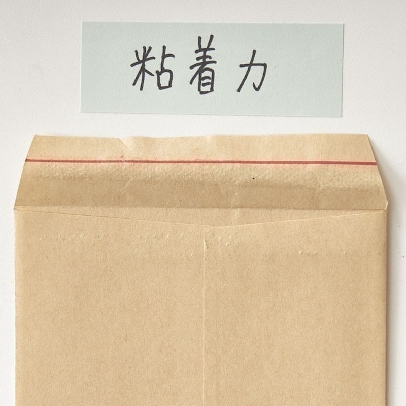 norino pod 6