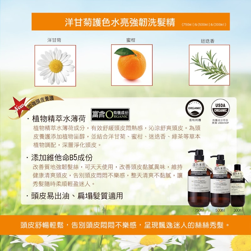 洋甘菊護色水亮強韌洗髮精 3