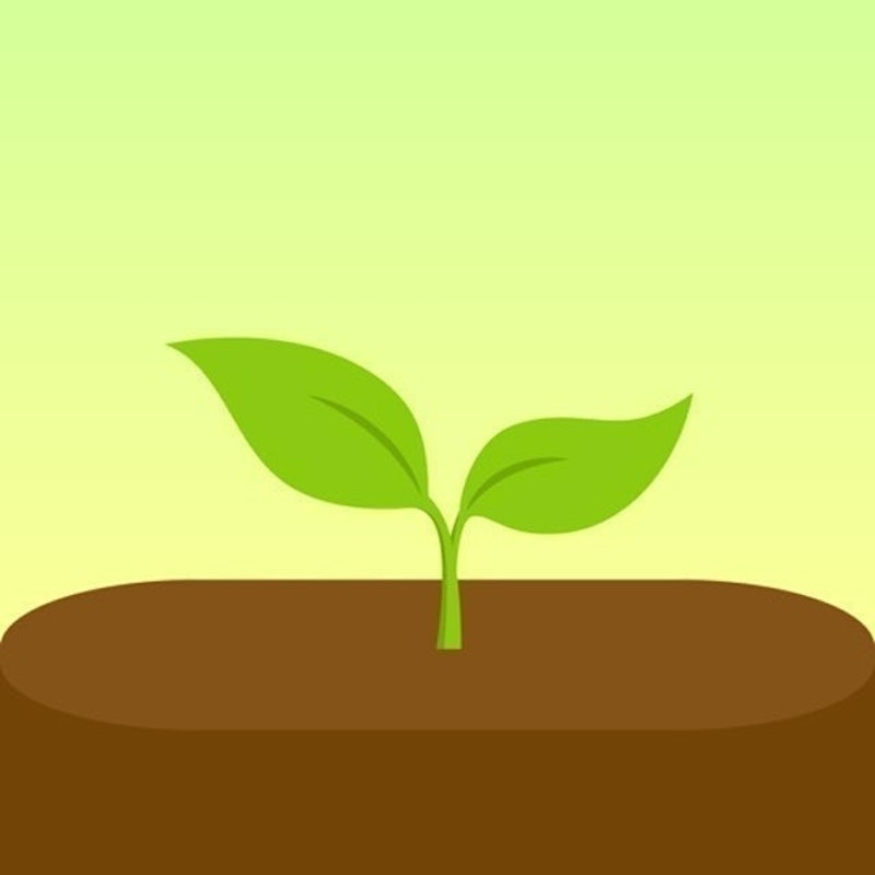 Forest 專注森林 1