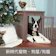 New Age Pet 新時代寵物狗屋 1