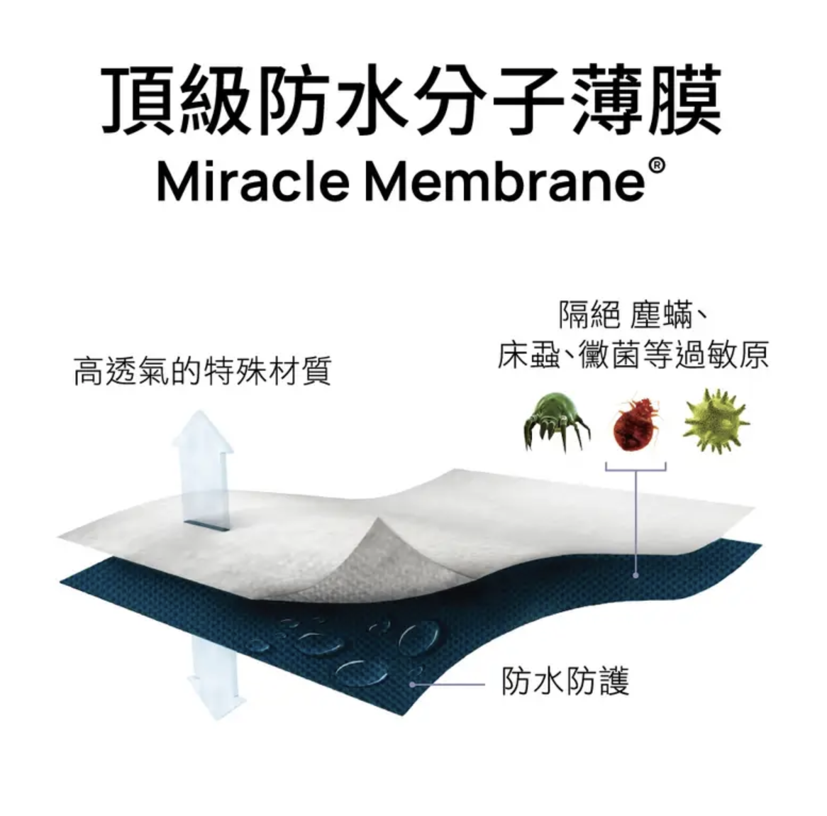 西班牙天絲床包式防水保潔墊 3