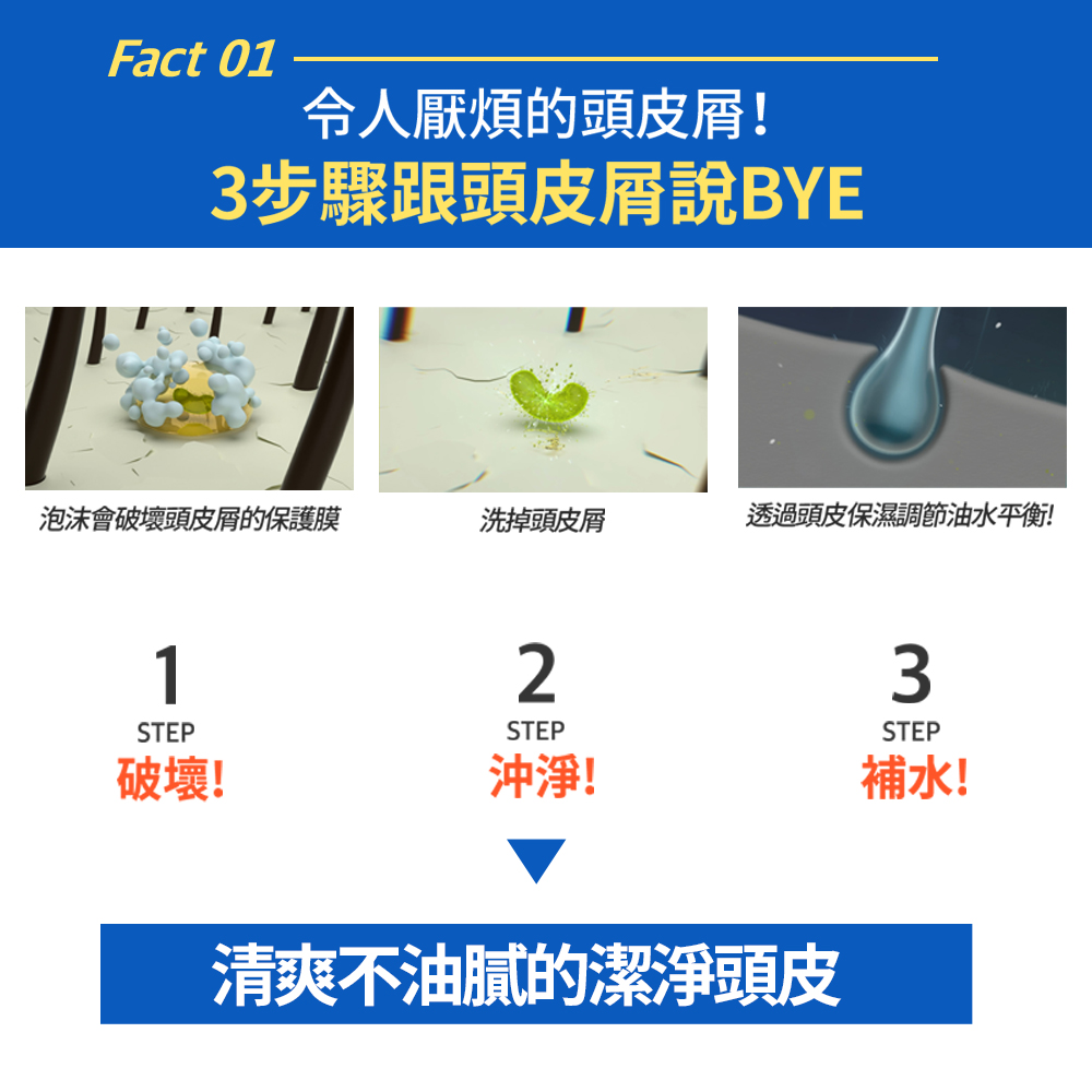 滋養韌髮去屑洗髮精 2