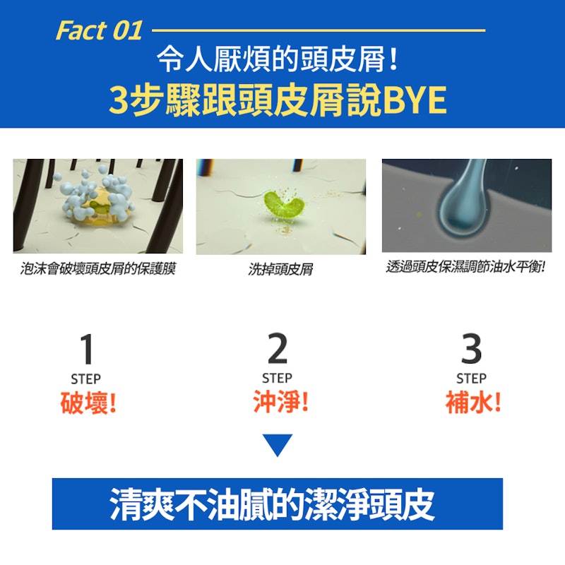 滋養韌髮去屑洗髮精 2