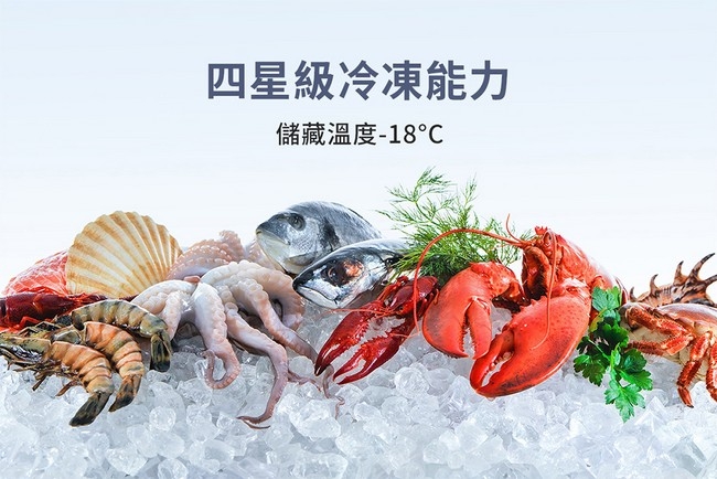 208L臥式冷凍箱 3