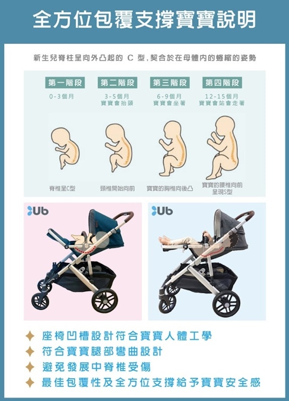 VISTA V2 王者之尊旗鑑雙人推車 4