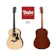 Taylor 317 1