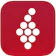 Vivino Vivino 1