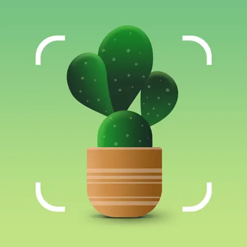 Plantum 1