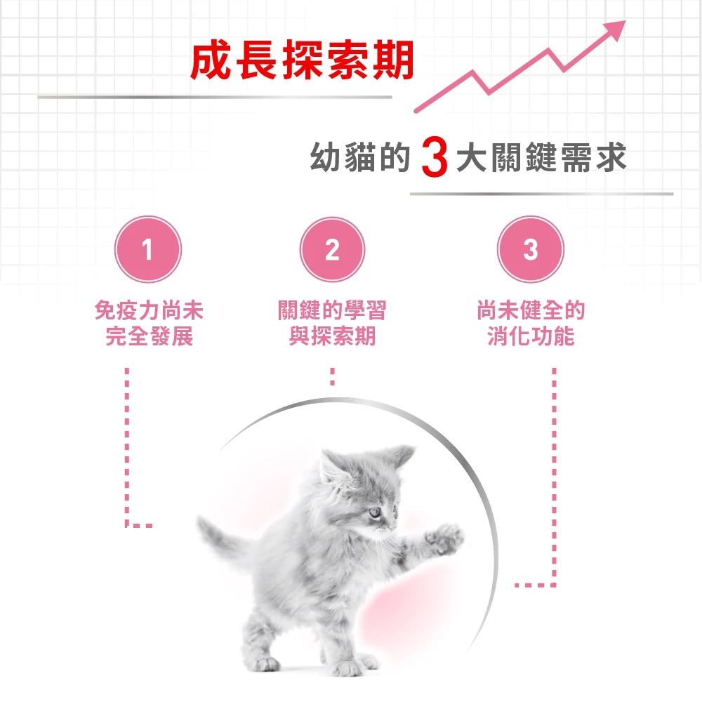 幼貓專用飼料K36 2