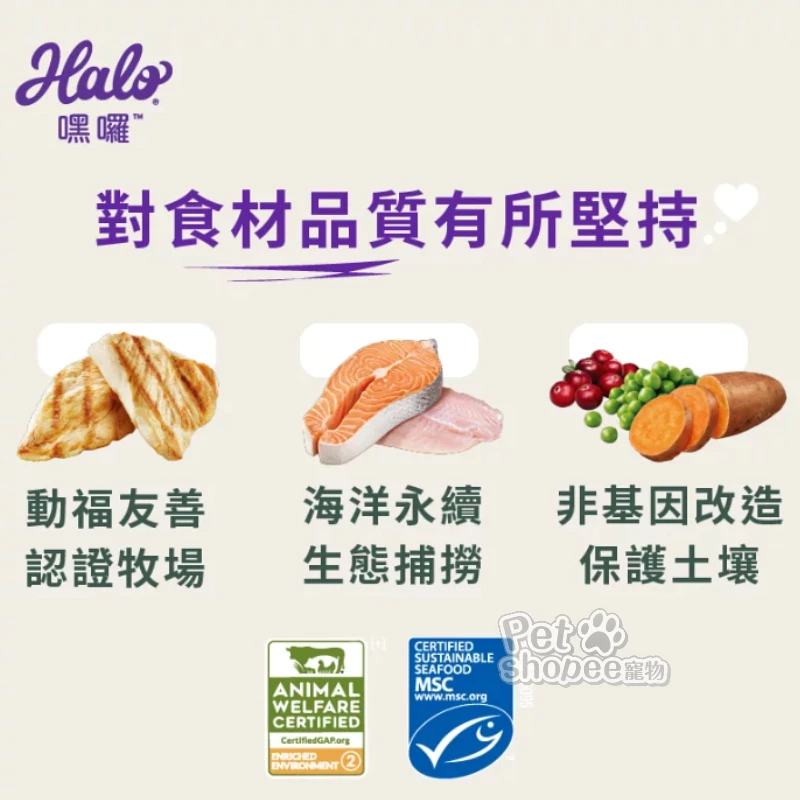 幼貓無穀貓糧雞肉/野生鮭魚燉白魚 2