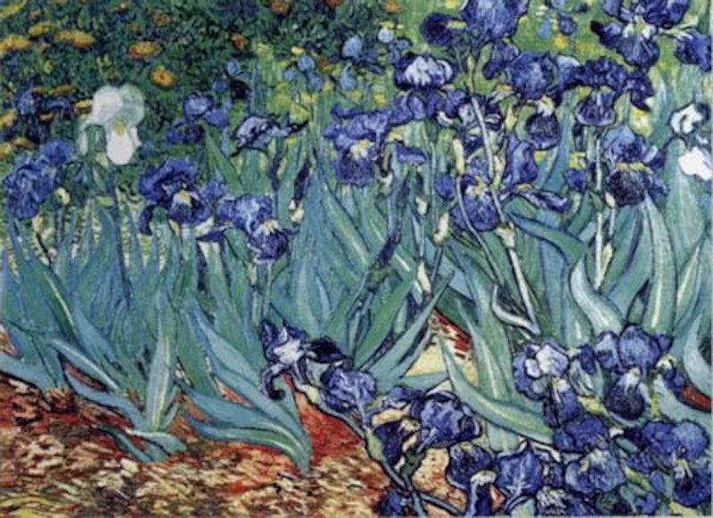 美術館典藏精華 梵谷 鳶尾花 2