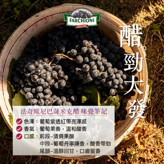 迷你紫瓶IGP認證巴薩米克醋 4