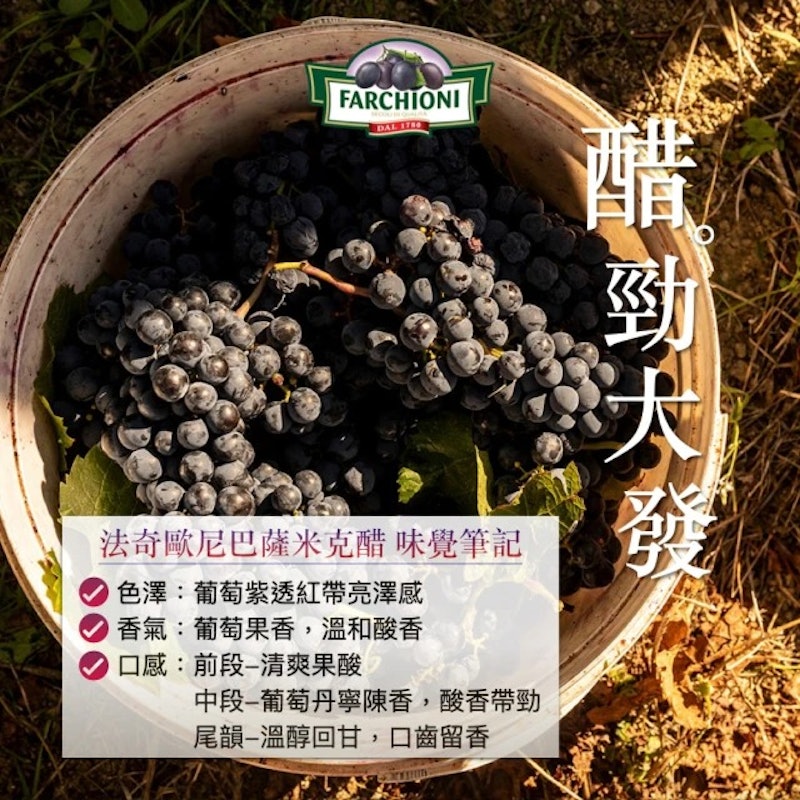 迷你紫瓶IGP認證巴薩米克醋 4