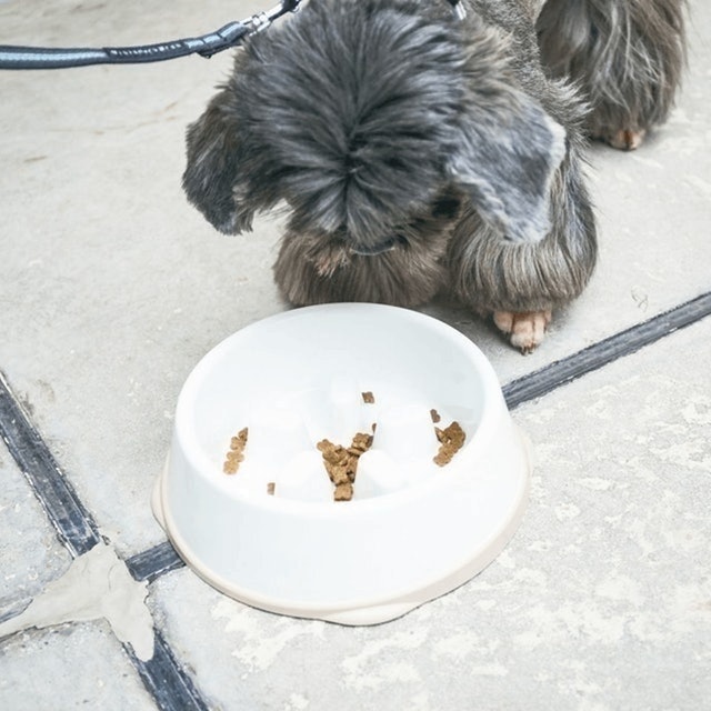 慢食碗 7