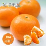 10 大橘子宅配推薦排行榜 1
