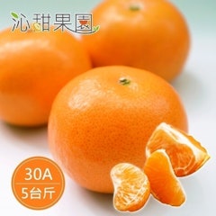 茂谷柑禮盒