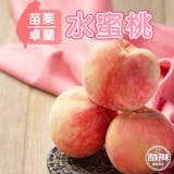 10 大水蜜桃宅配推薦排行榜 5