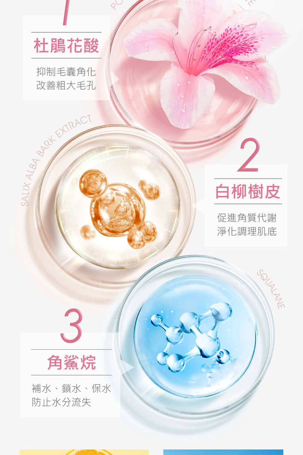 杜鵑花酸去角質精華露 2