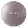 ELECOM ECLEAR 瑜珈抗力球 1