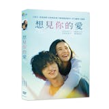 10 大純愛電影推薦排行榜 5